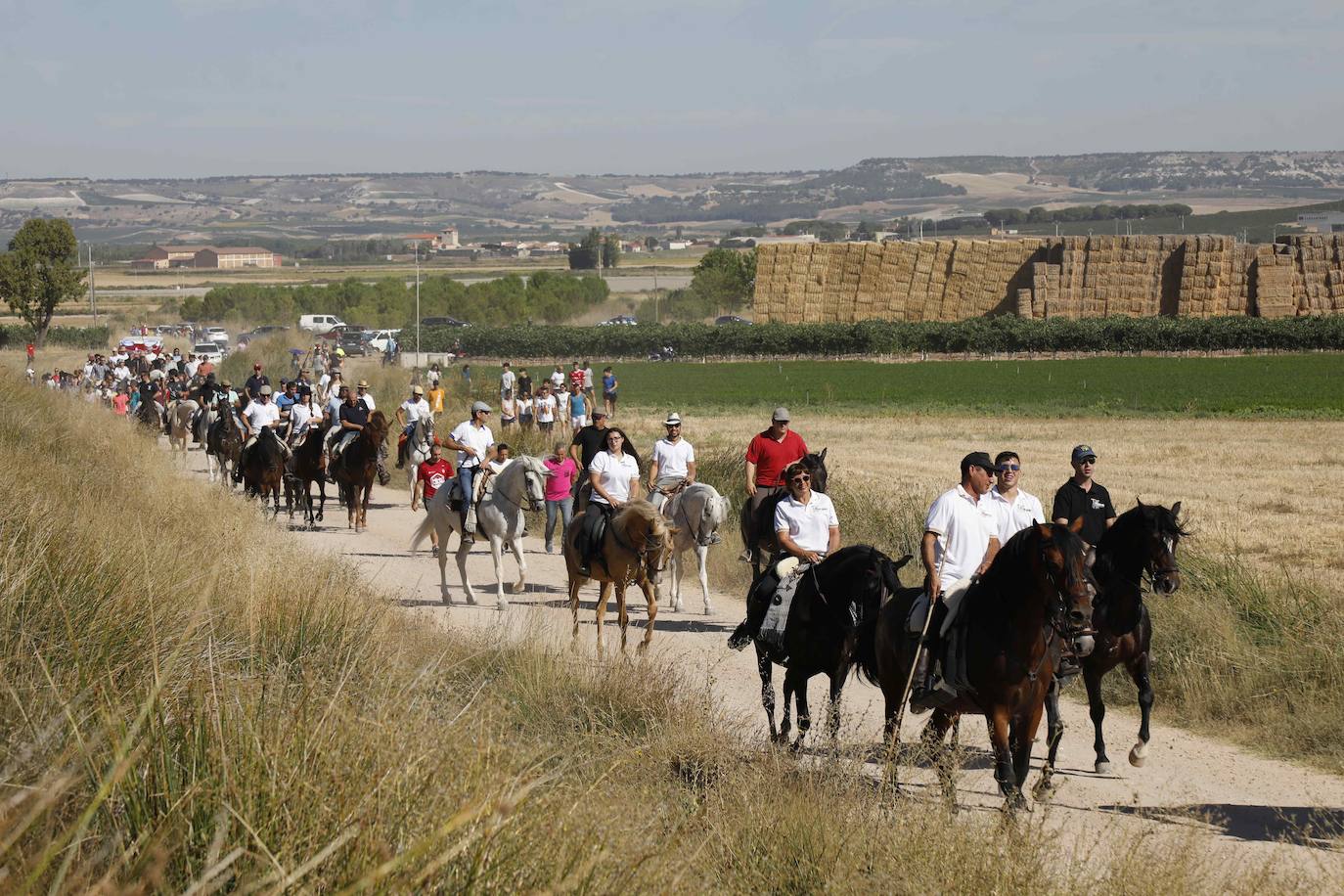 En imágenes, la trashumancia en Peñafiel a un día de comenzar las fiestas