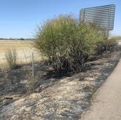 Un pequeño incendio calcina parte de una cuneta en la autovía de Pinares