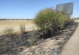 Superficie afectada por el incendio junto a la autovía que conecta Segovia y Valladolid.