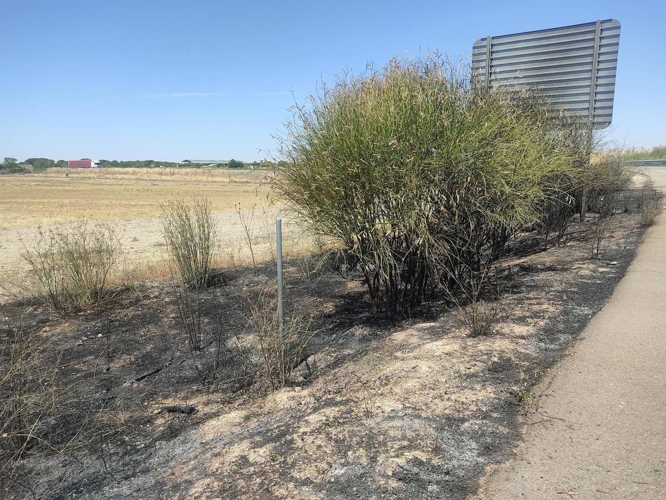 Superficie afectada por el incendio junto a la autovía que conecta Segovia y Valladolid.