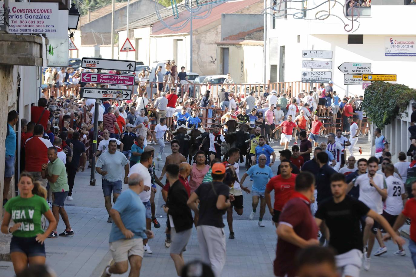 Capea de mañana en la Plaza del Coso de Peñafiel