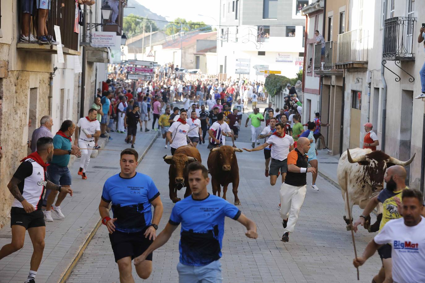 Capea de mañana en la Plaza del Coso de Peñafiel