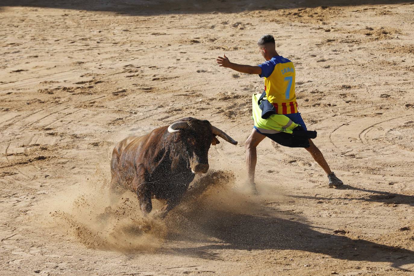 Capea de mañana en la Plaza del Coso de Peñafiel