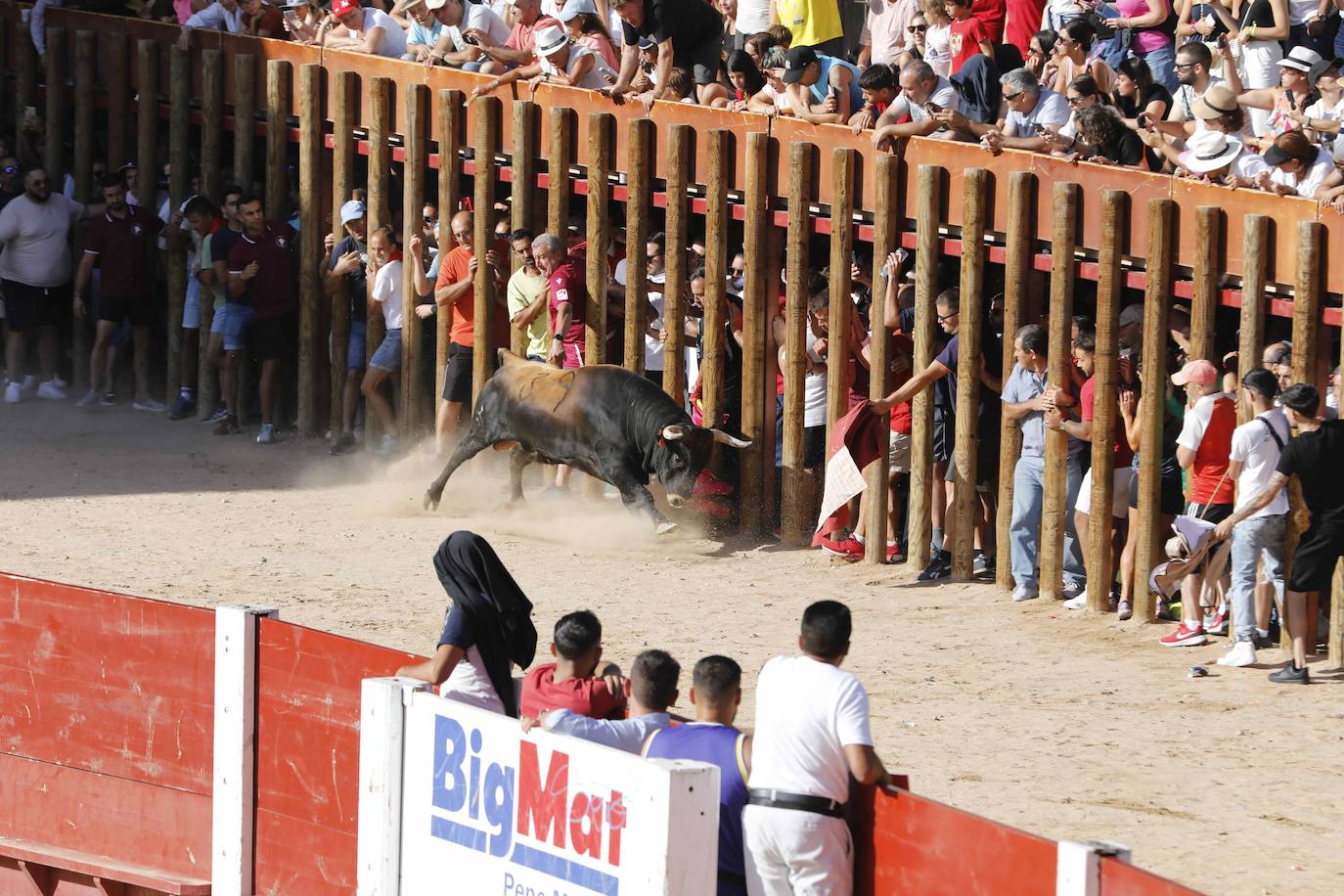 Capea de mañana en la Plaza del Coso de Peñafiel