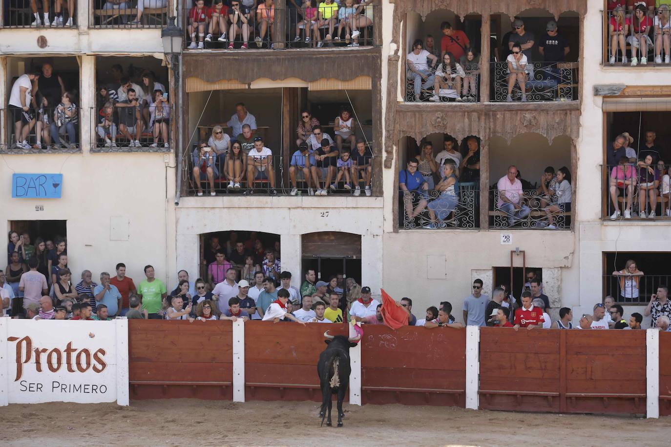 Capea de mañana en la Plaza del Coso de Peñafiel