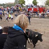 Pacma destaca que el Toro de la Vega vuelve a Tordesillas como encierro