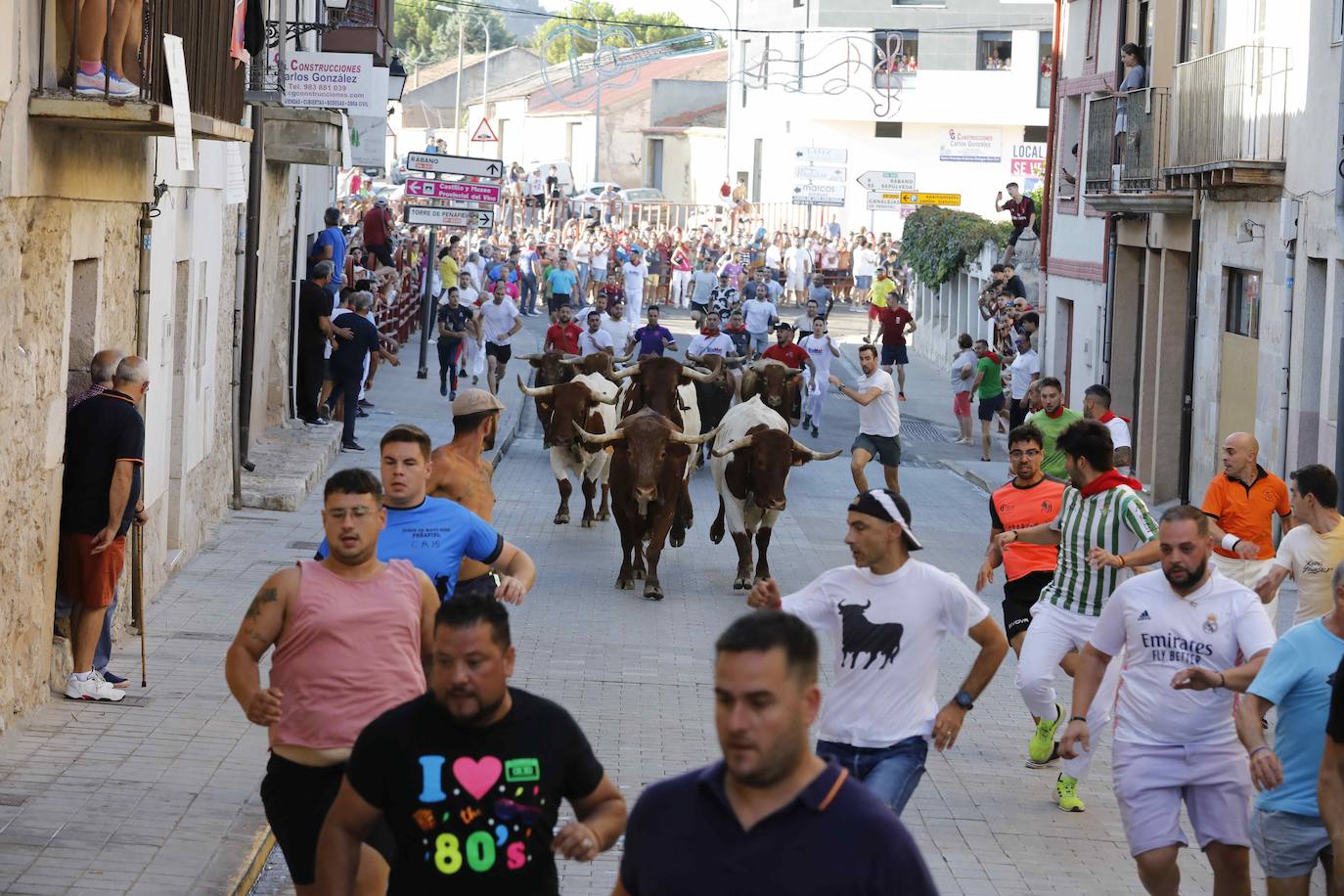 En imágenes, el encierro y la capea matinal de Peñafiel