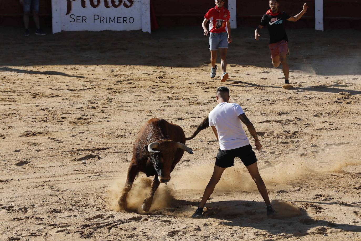 En imágenes, el encierro y la capea matinal de Peñafiel