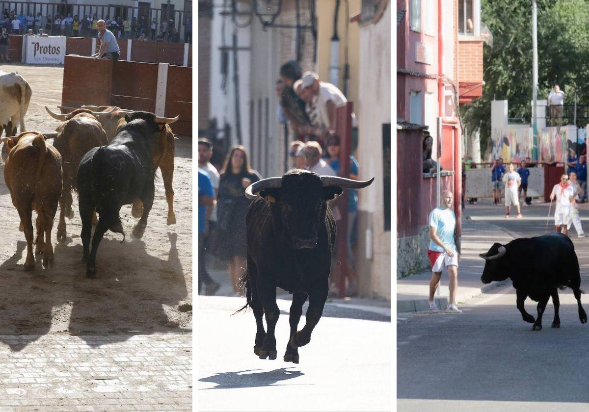 Las imágenes de hoy en las fiestas de los pueblos de la provincia de Valladolid