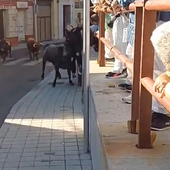 Un toro embiste a una joven despistada con el móvil en el encierro de Tudela