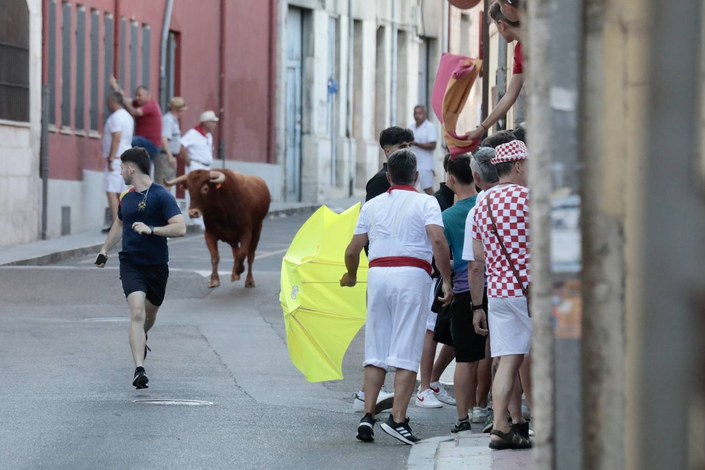 El encierro de este jueves en Tudela de Duero, en imágenes