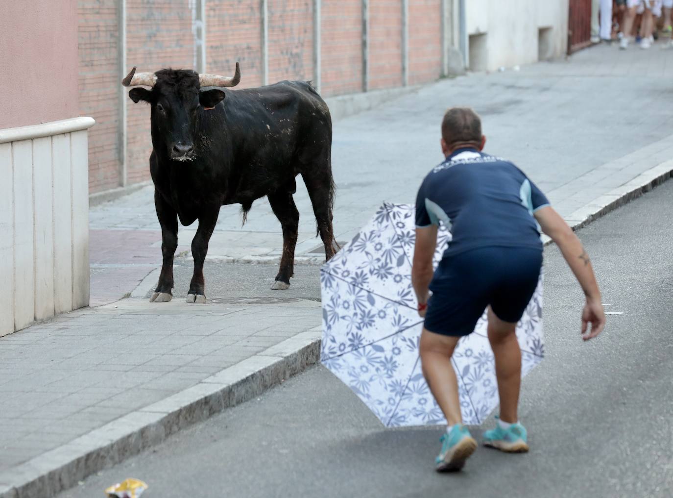 El encierro de este jueves en Tudela de Duero, en imágenes