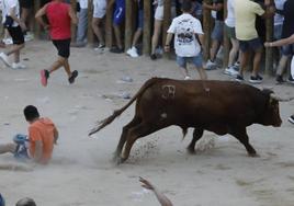 Los dos momentos de tensión vividos en la capea de las fiestas de Peñafiel
