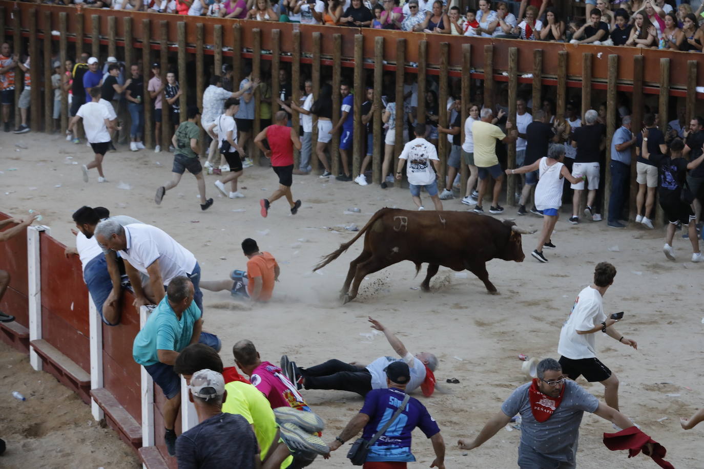 Los dos momentos de tensión vividos en la capea de las fiestas de Peñafiel