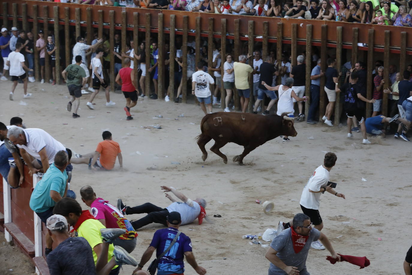 Los dos momentos de tensión vividos en la capea de las fiestas de Peñafiel