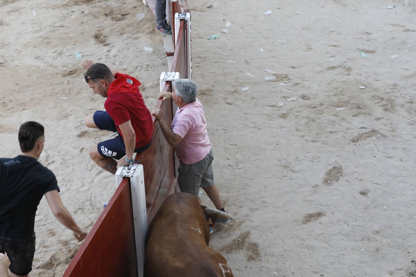 Los dos momentos de tensión vividos en la capea de las fiestas de Peñafiel