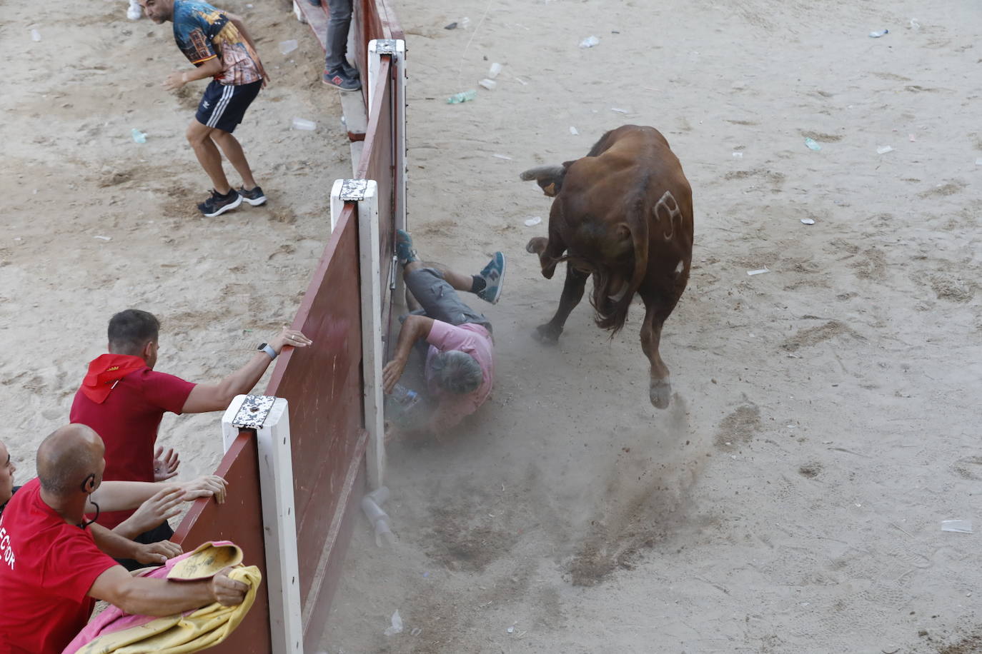 Los dos momentos de tensión vividos en la capea de las fiestas de Peñafiel