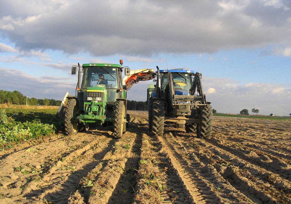 Tractores trabajan en un campo de cultivo de la provincia de Segovia.