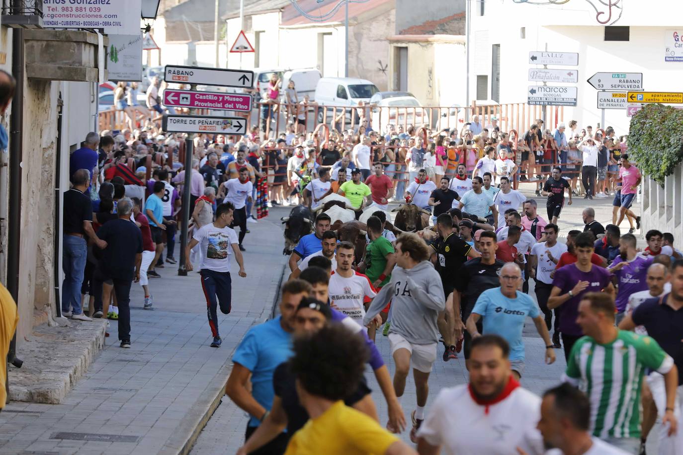 Encierro y capea del jueves en Peñafiel