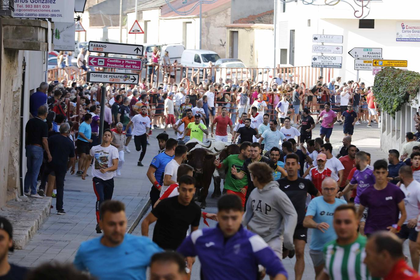 Encierro y capea del jueves en Peñafiel