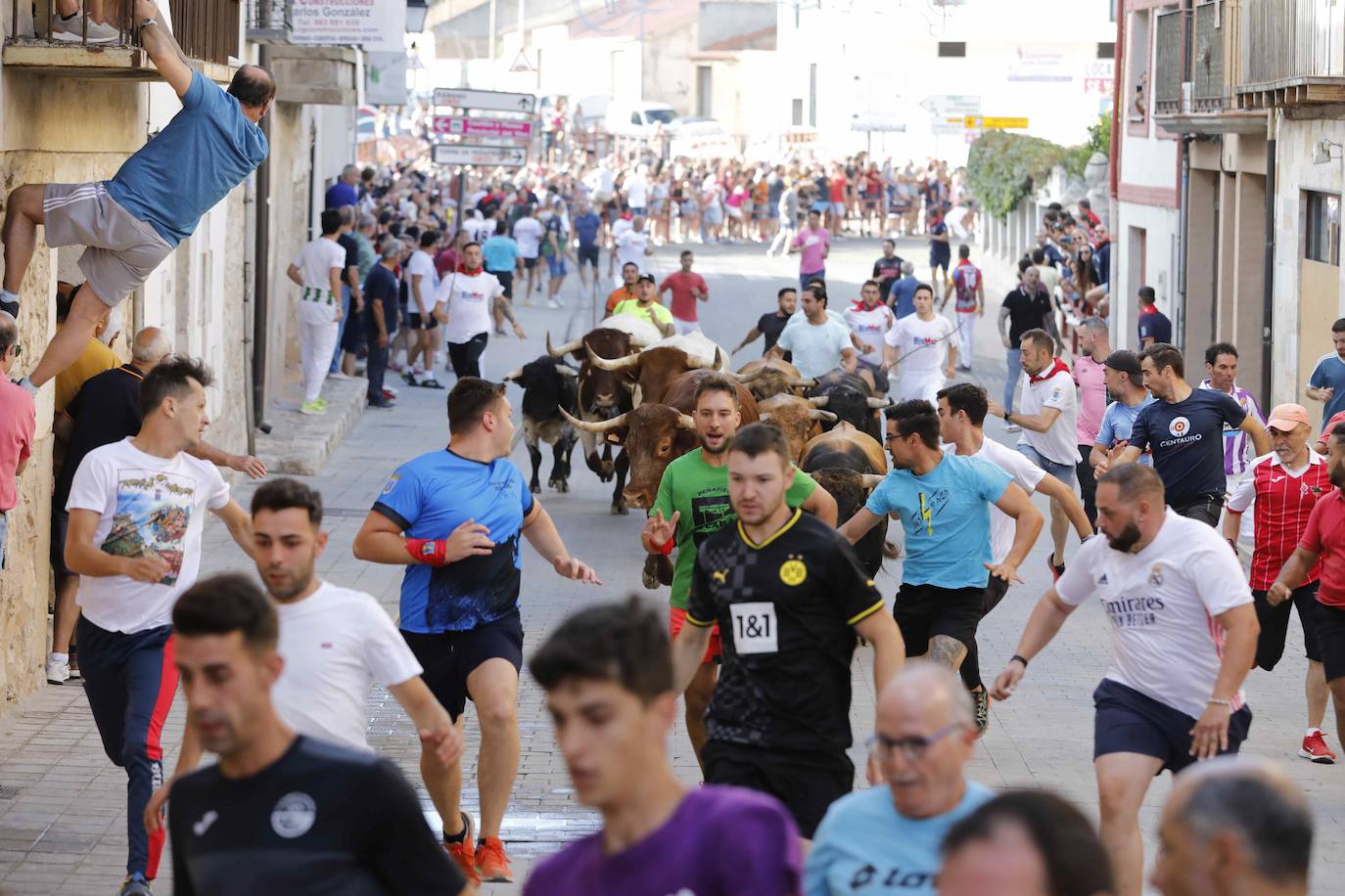 Encierro y capea del jueves en Peñafiel