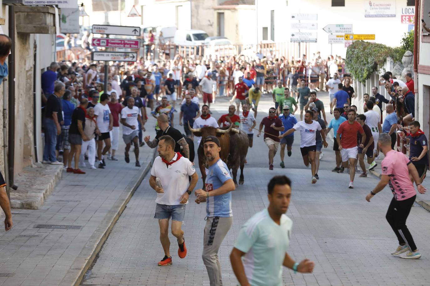 Encierro y capea del jueves en Peñafiel