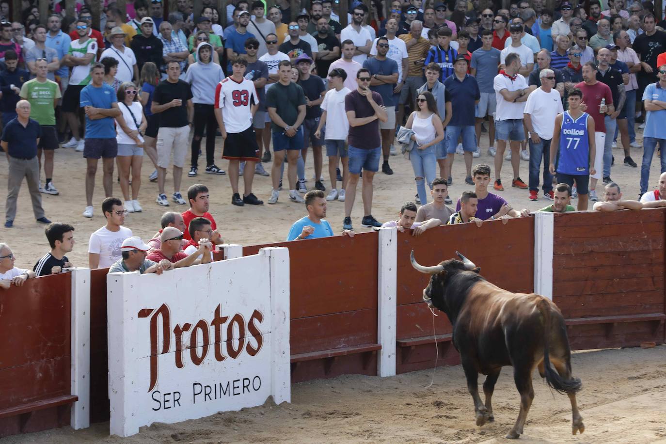 Encierro y capea del jueves en Peñafiel