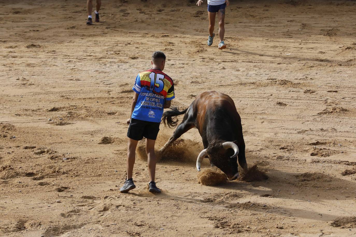 Encierro y capea del jueves en Peñafiel