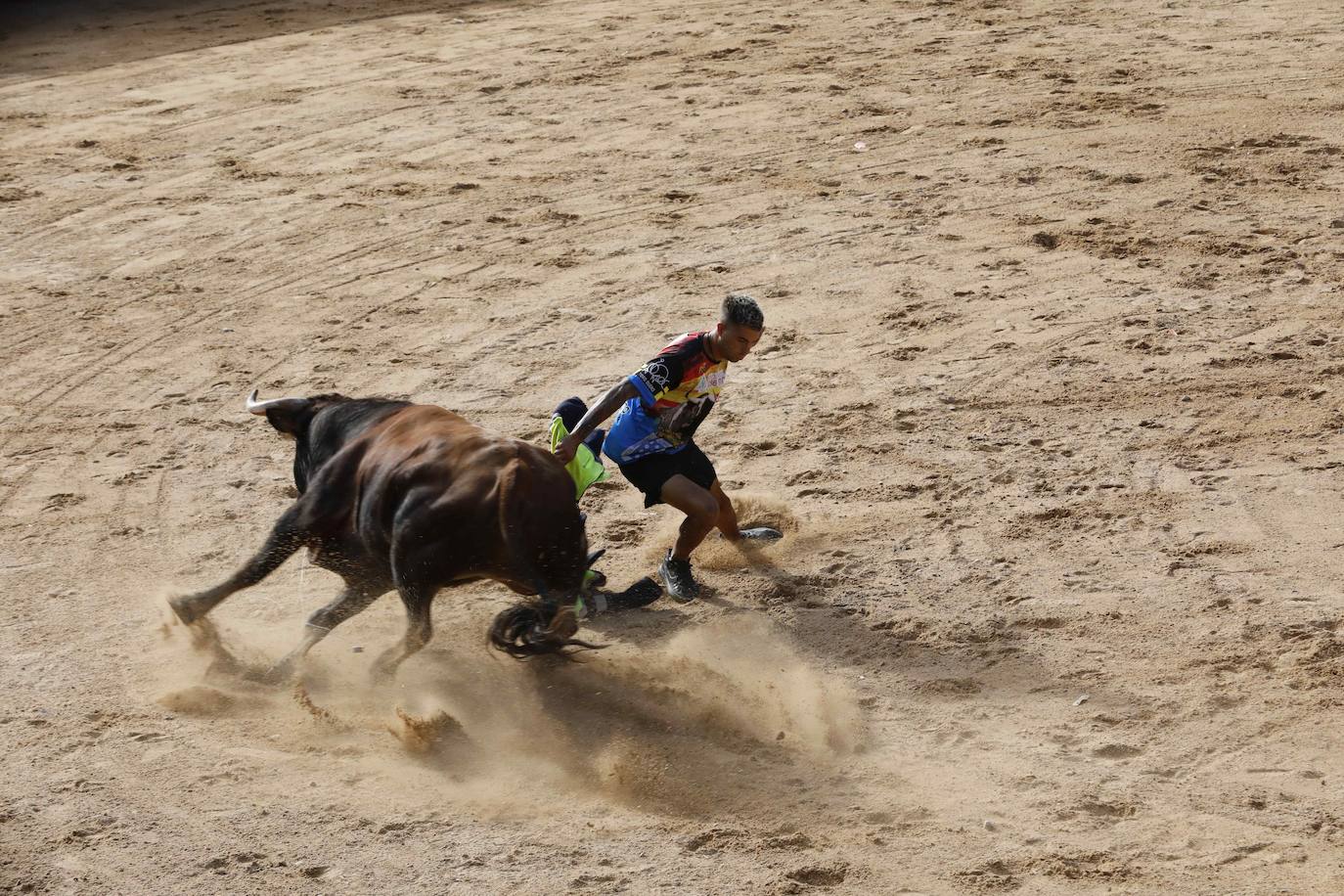 Encierro y capea del jueves en Peñafiel