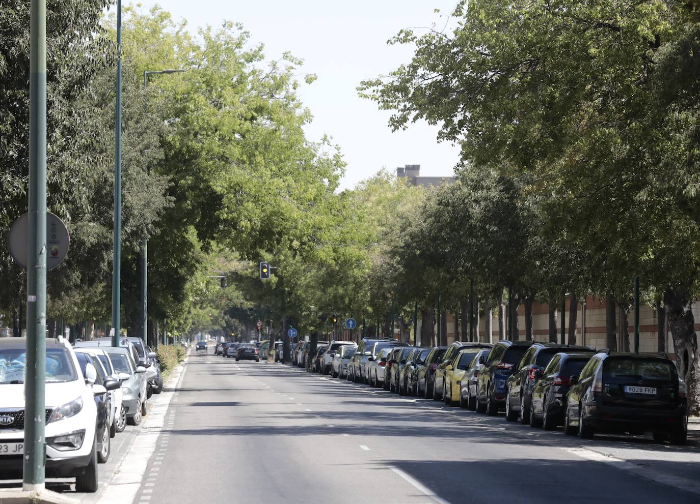 El Camino del Cementerio, en imágenes