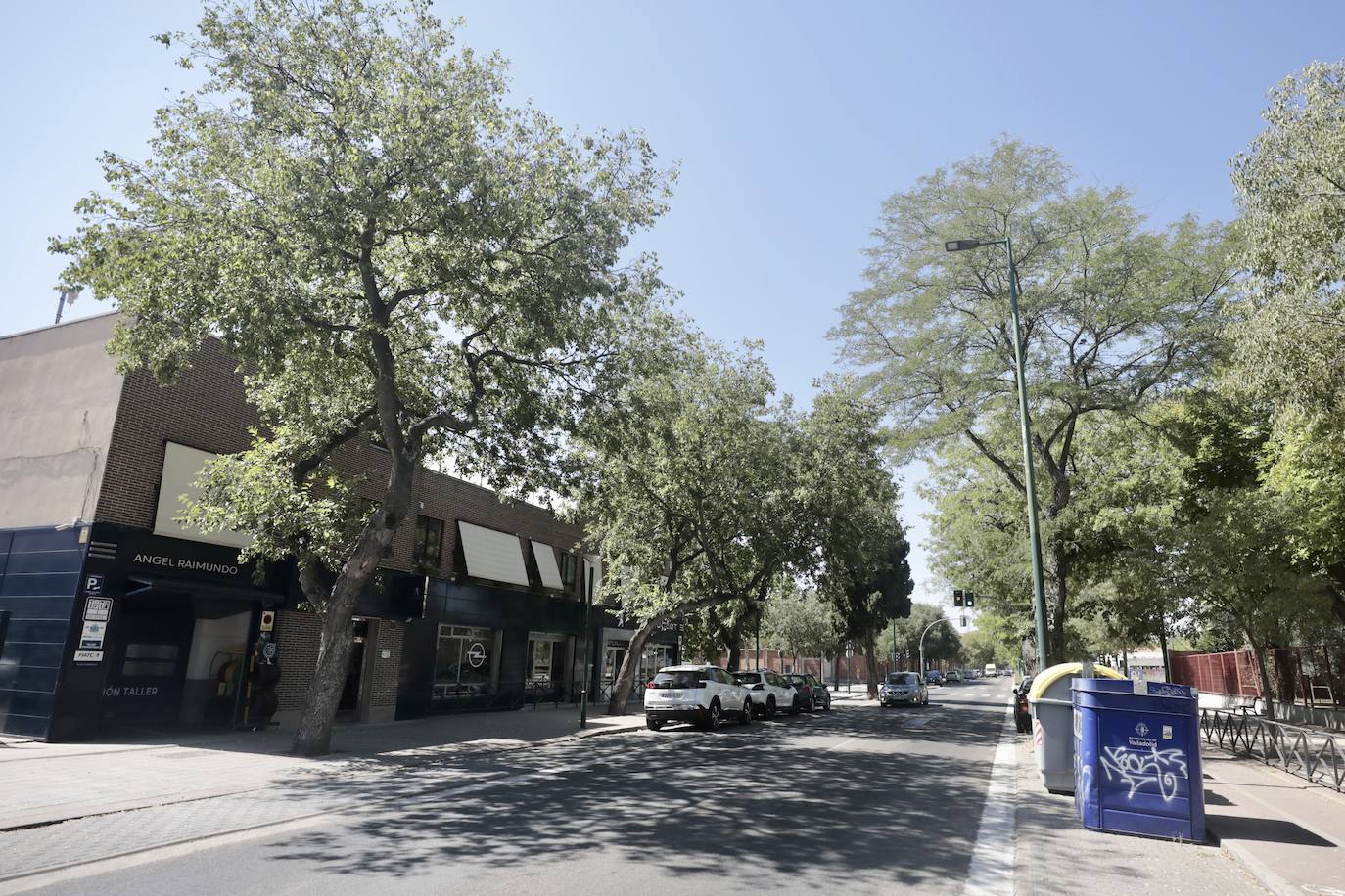 El Camino del Cementerio, en imágenes