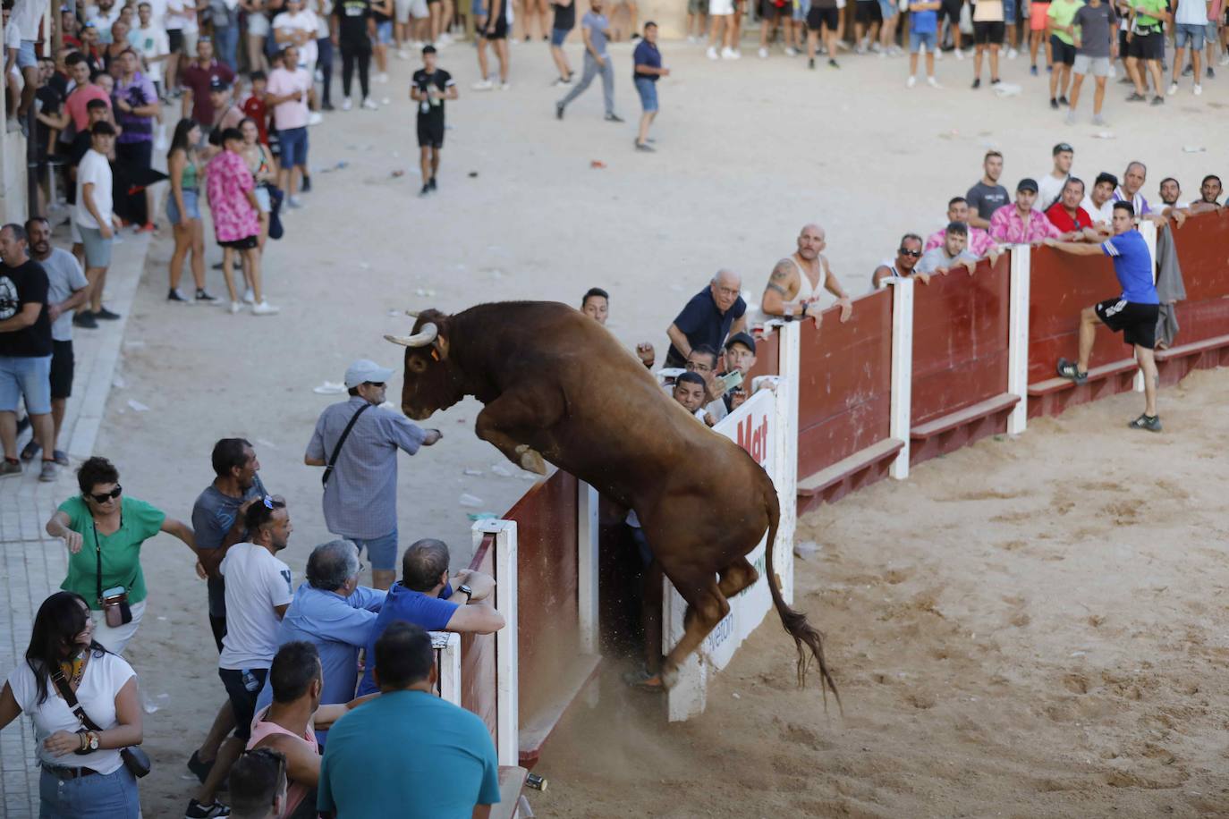 La capea de este jueves en Peñafiel, en imágenes