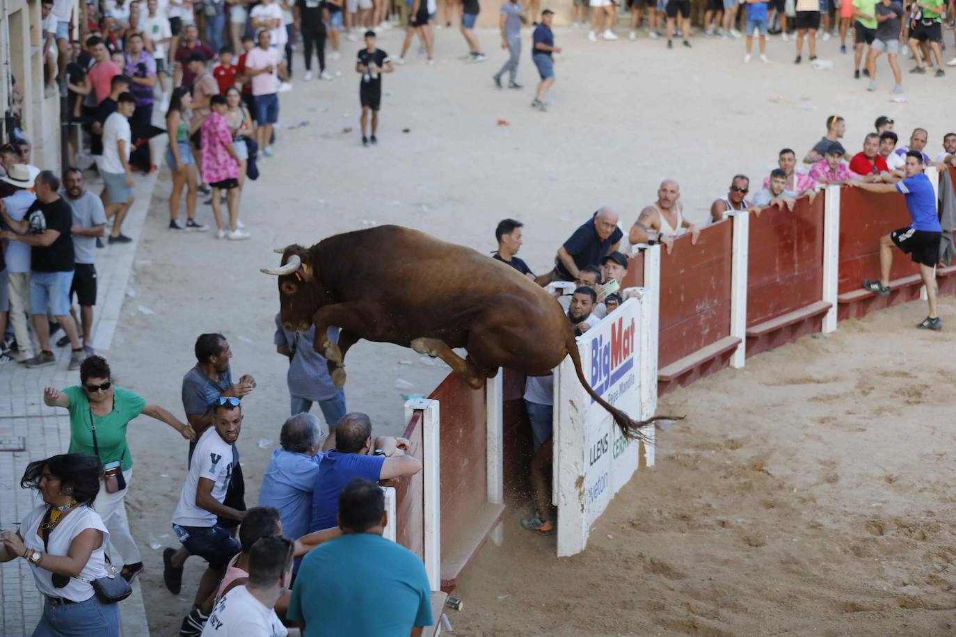 La capea de este jueves en Peñafiel, en imágenes