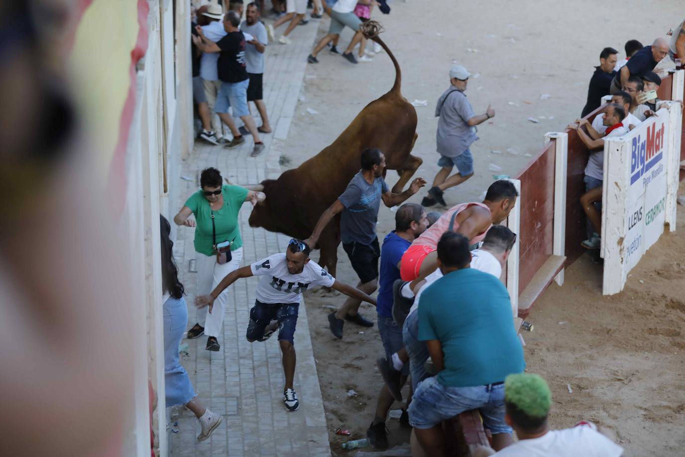 La capea de este jueves en Peñafiel, en imágenes