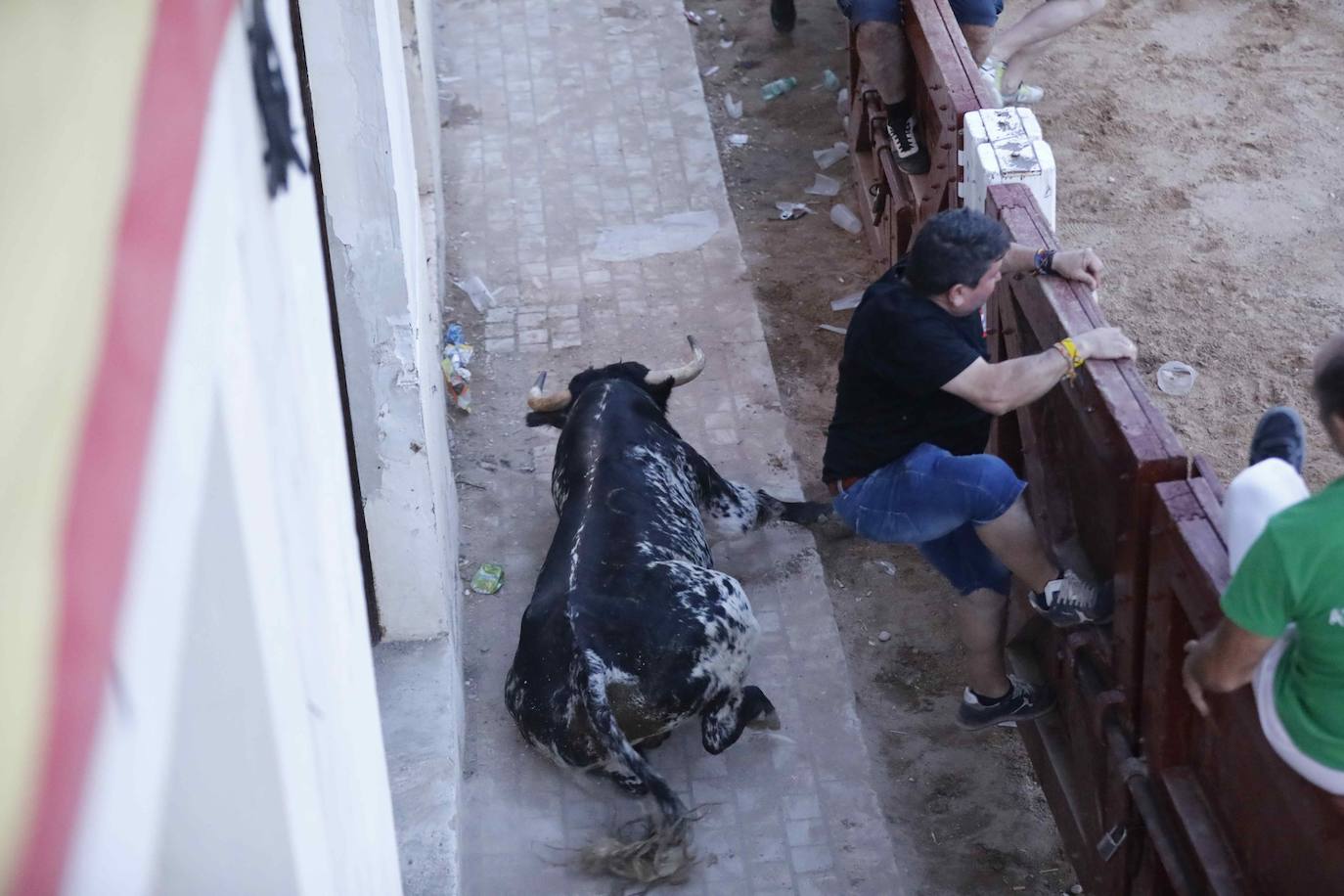 La capea de este jueves en Peñafiel, en imágenes