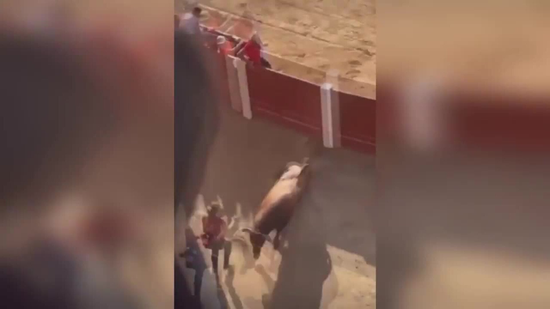 Segundos de enorme tensión en la capea de Peñafiel de este viernes