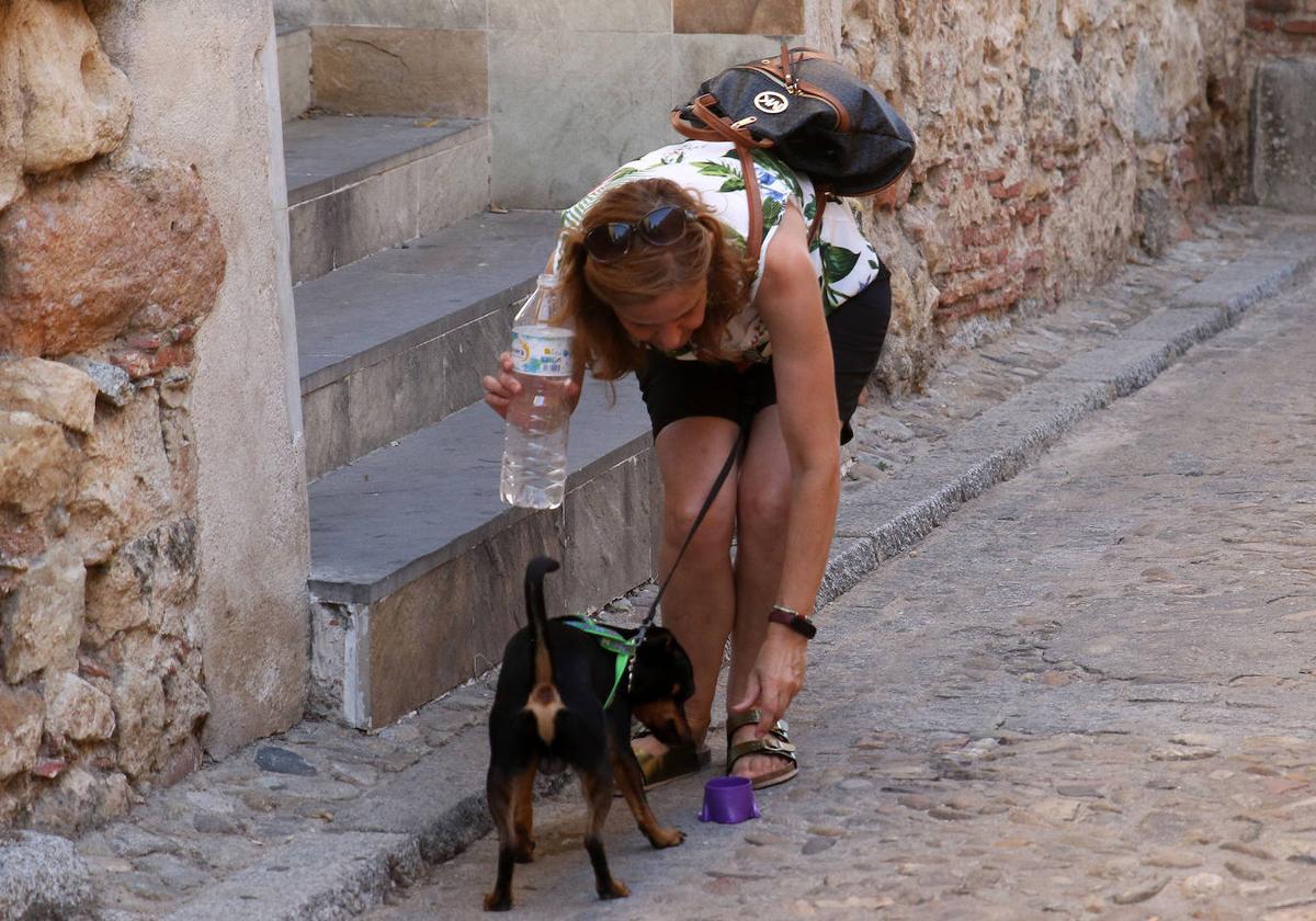 Una mujer da agua a un perro para hidratarlo frente al calor.