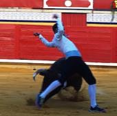 Javier Manso 'Balotelli' se impone en el concurso de cortes de Pedrajas