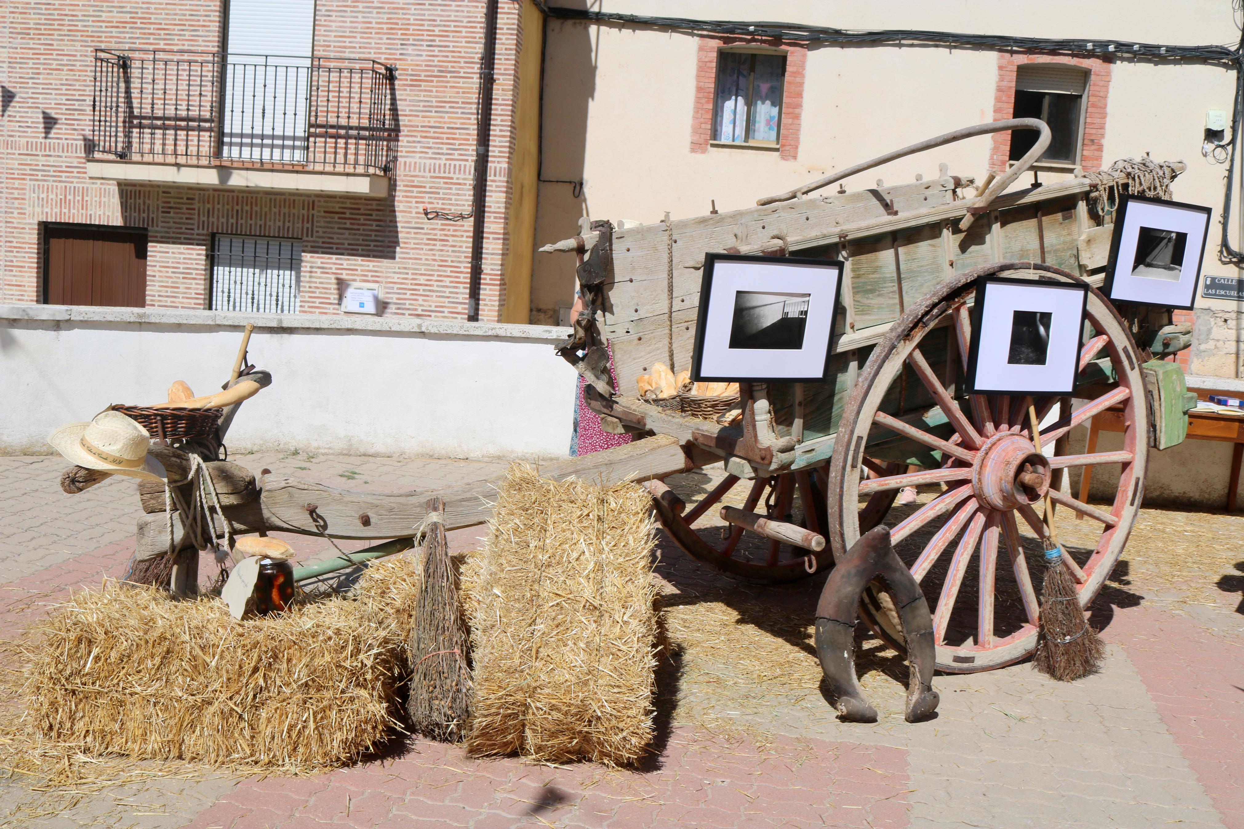 V Feria del Pan en Cobos de Cerrato