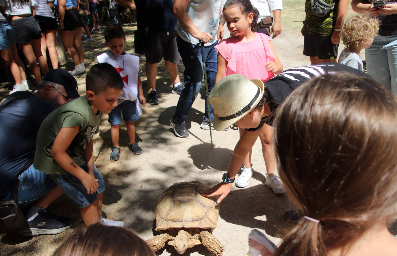 Feria Cuéllar Mudéjar