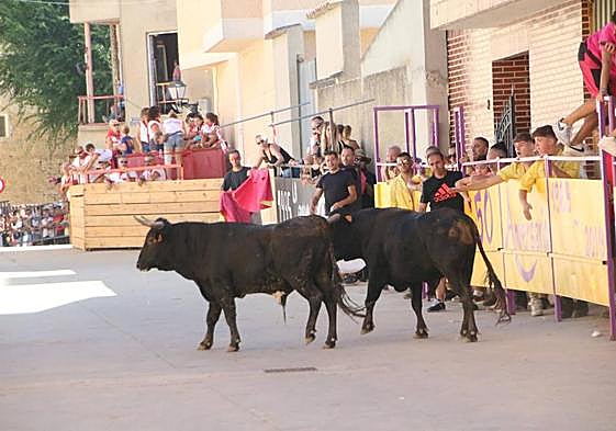 Encierro en Dueñas.