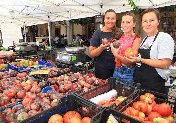 Feria del Tomate de Martín Muñoz de las Posadas en una edición anterior.