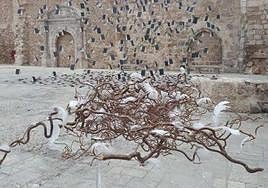 'Raíces aladas', de Aixa Portero.