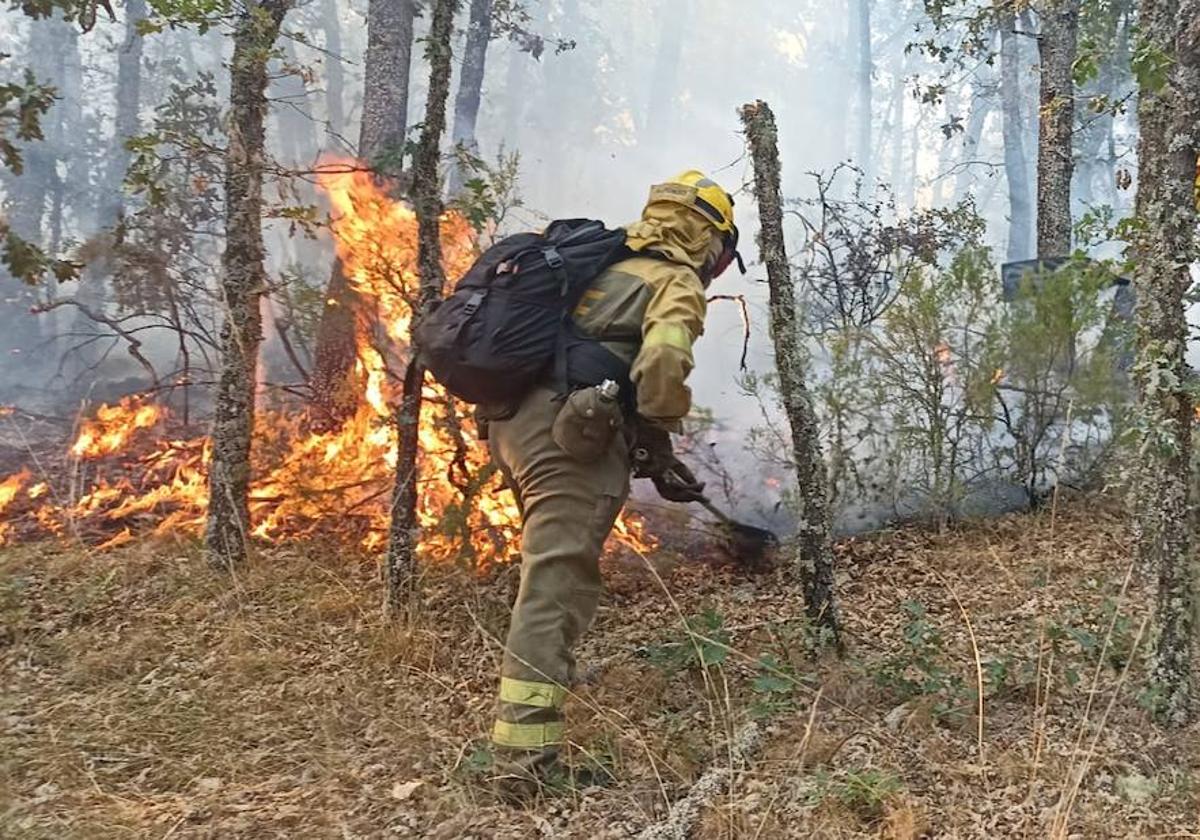 El incendio de nivel 2 en San Bartolomé de Rueda, en imágenes