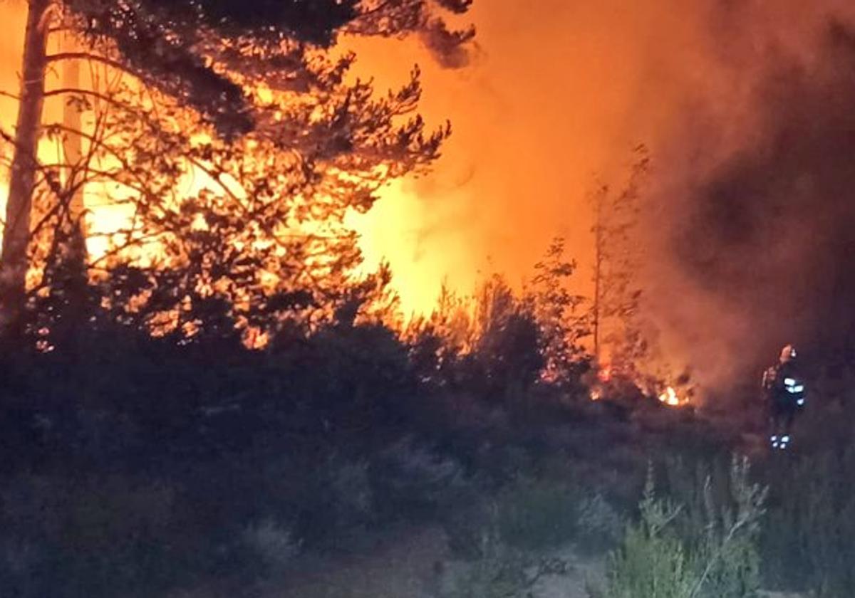 Las brigadas trabajaron durante toda la noche para frenar el avance de las llamas.