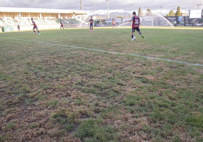 Estado del césped a principios de agosto, durante el partido ante el Rayo Majadahonda.