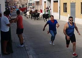 Corredores ante los astados en el encierro matinal.