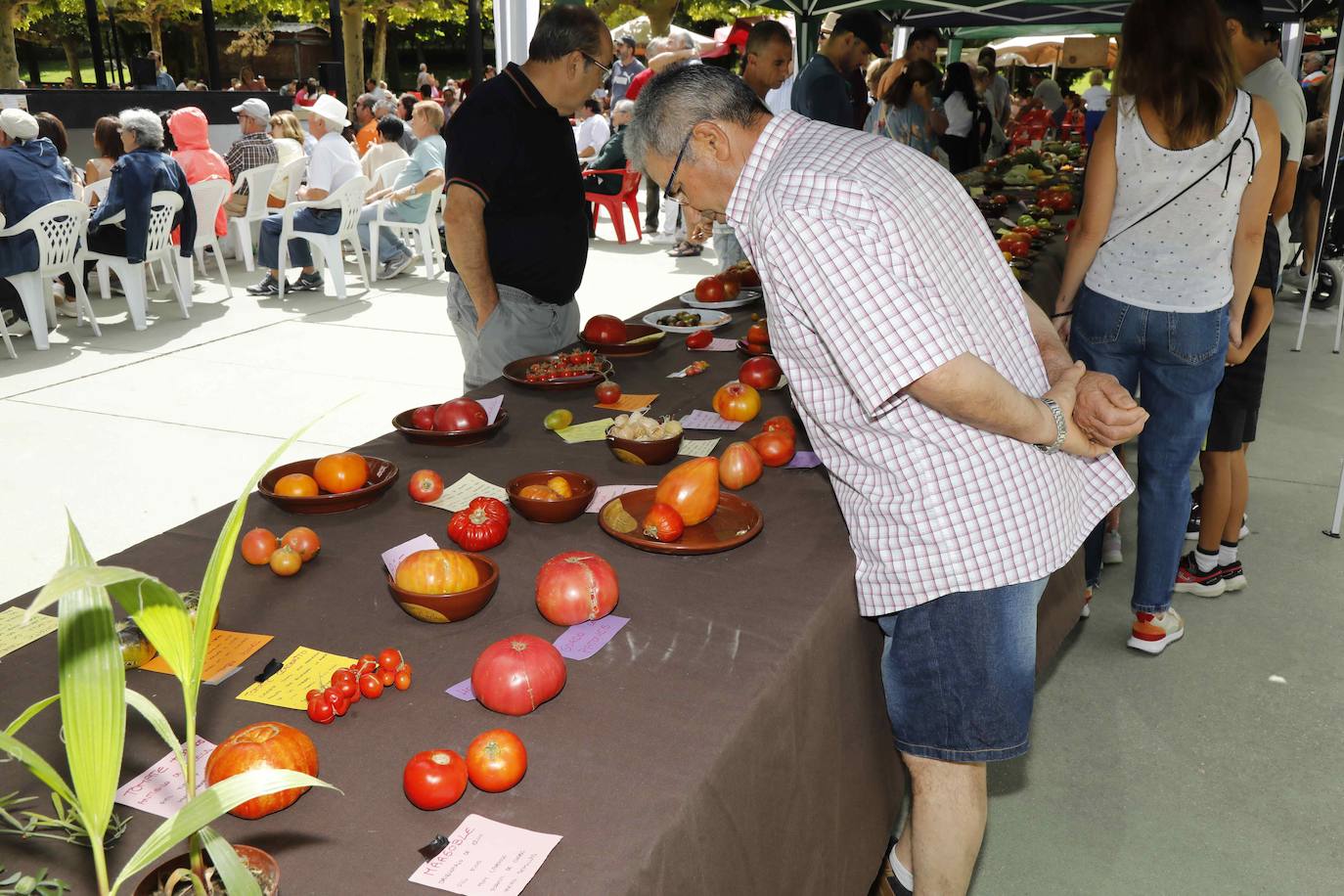 La Feria del Tomate de Tudela, en imágenes