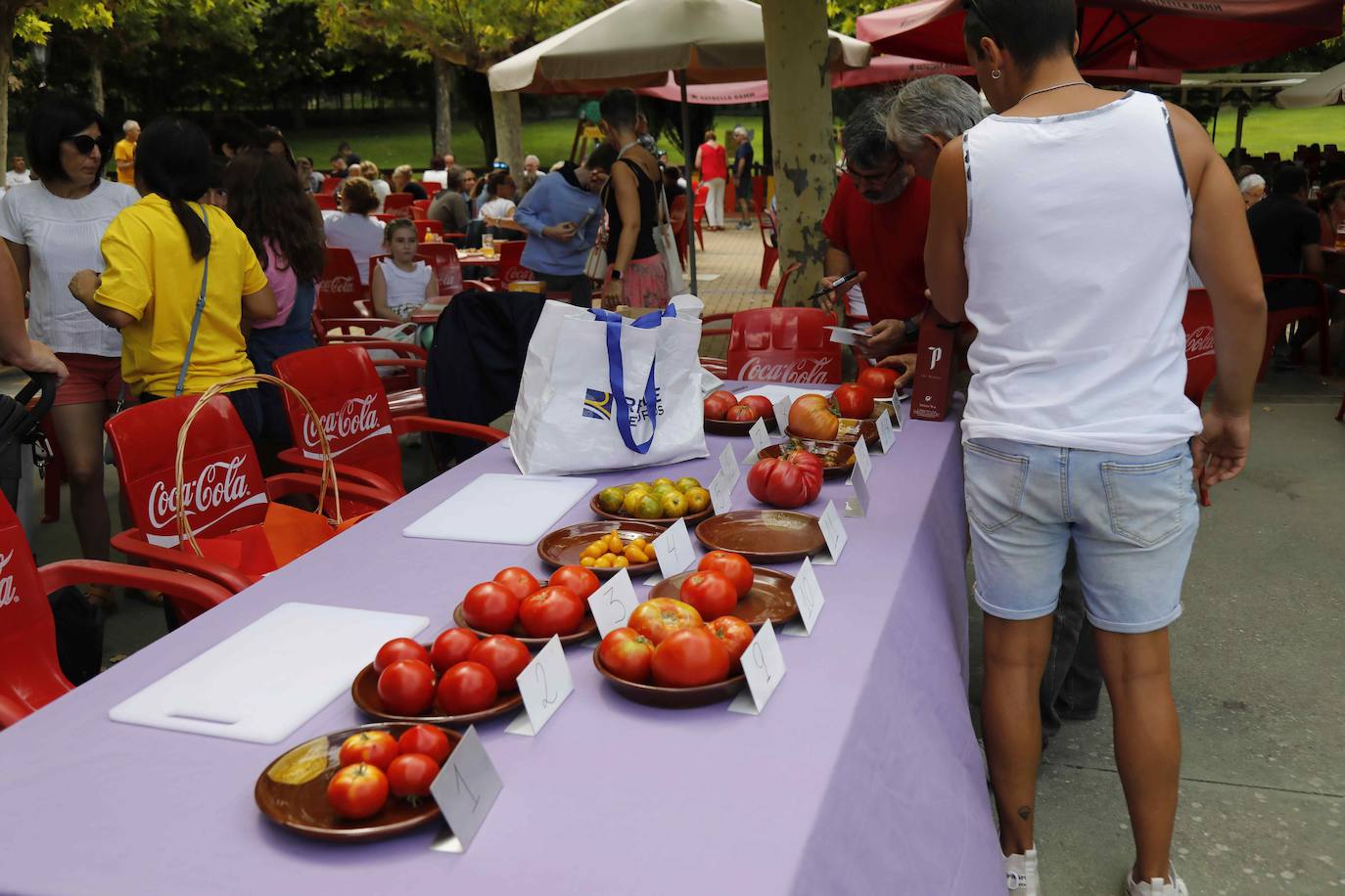 La Feria del Tomate de Tudela, en imágenes