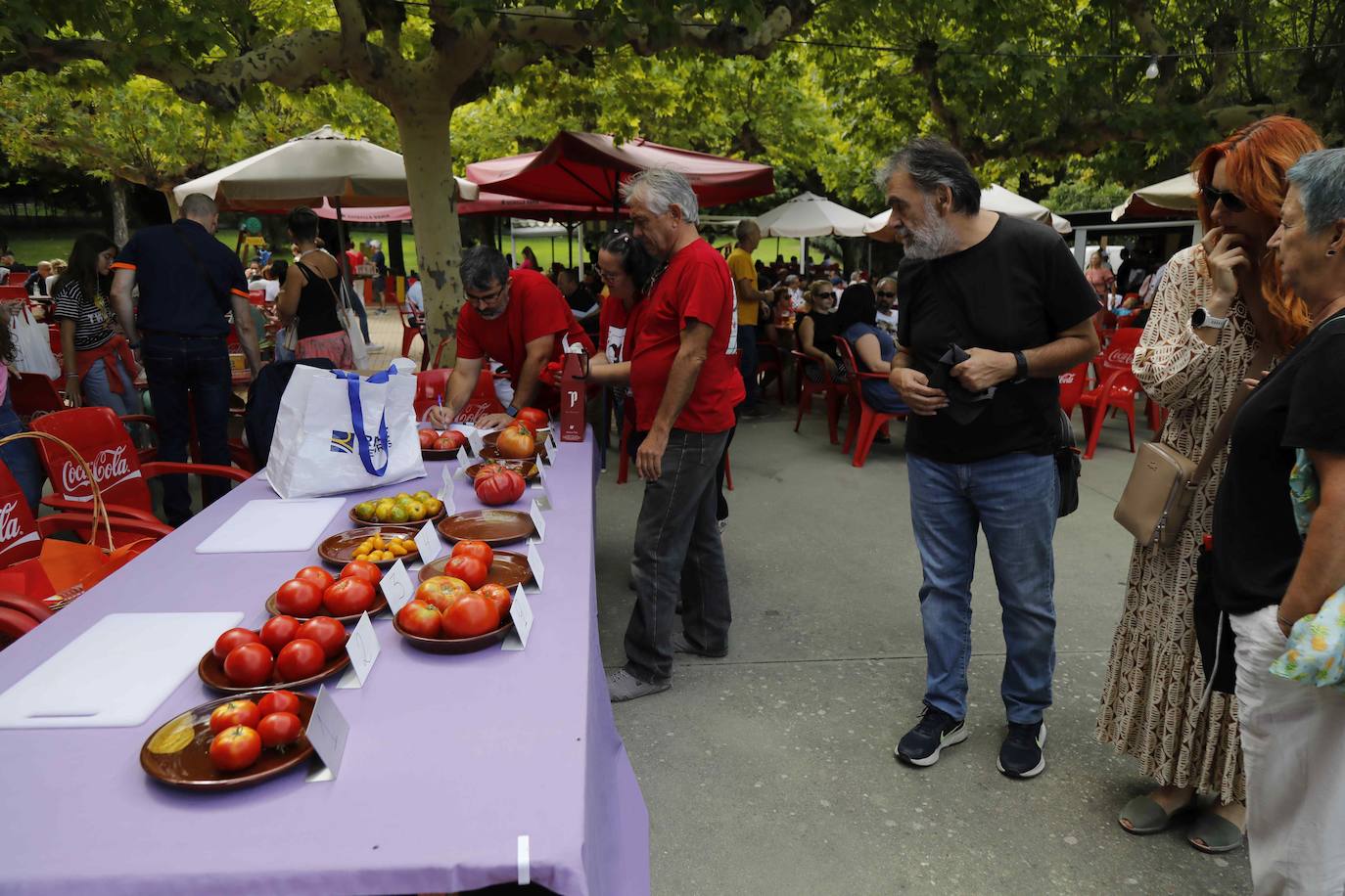 La Feria del Tomate de Tudela, en imágenes